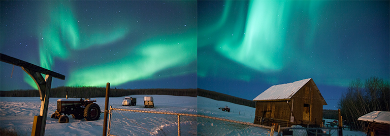 Northern lights dance above a hay field off Farmers Loop Rd., Fairbanks Alaska.