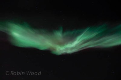 Setting the camera pointed straight up creates a fun, abstracted form. The Big Dipper is visible in the top-left portion of the photo. 