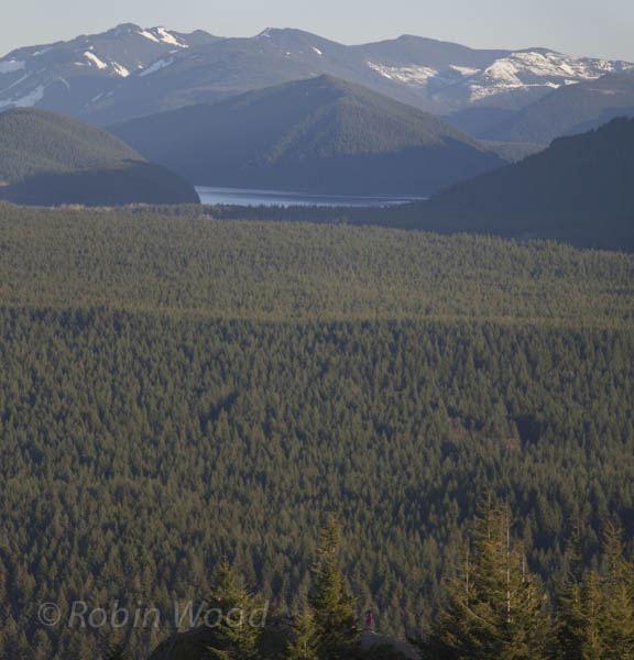 Were it not for bright-red shorts this hiker would completely vanish into the landscape. 
