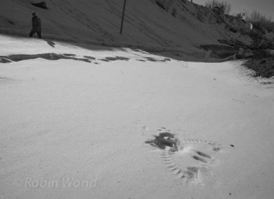 A pedestrian walks up a path at UAF, near a imprint a raven left in the snow, akin to a temporary fossil.
