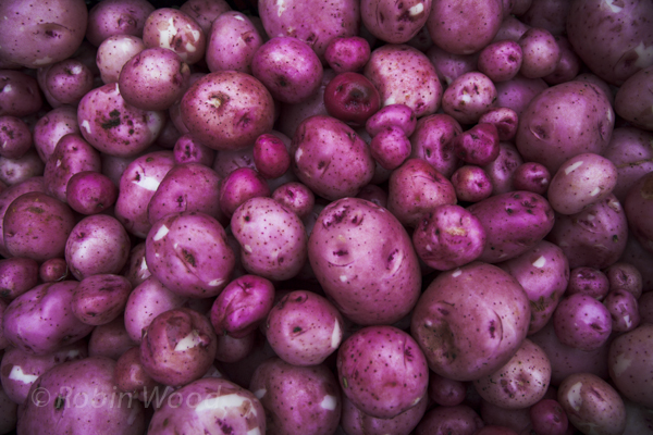 Fresh washed Irish Reds.