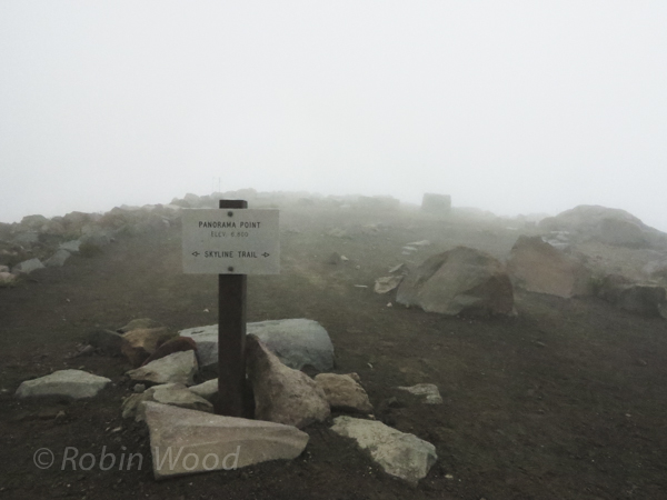 Again clouds create the horizon, no panorama today. 