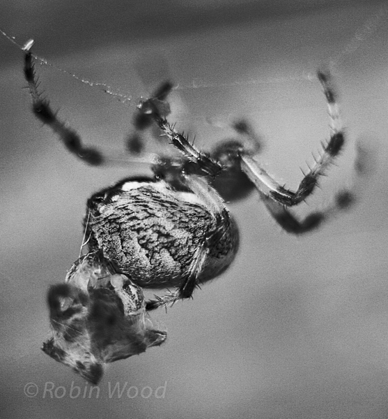 Reservations for one.