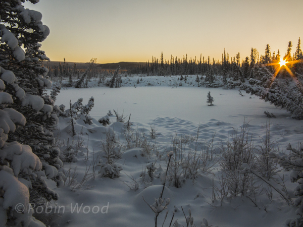 At exactly noon, the sun is already hidden behind some trees, with a frozen lake in the foreground. 