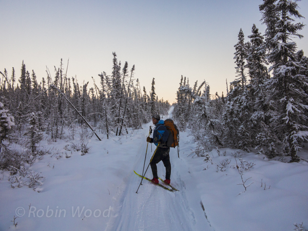 Nick pauses partway into a long uphill on a cold cross-country ski. 