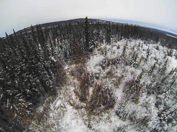 My backyard, Birch Hill in the background. 