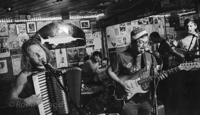 Animal Eyes performs at The Marlin on June 31, 2014. 